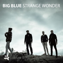 STRANGE WONDER