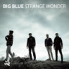STRANGE WONDER