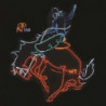 WAYFARING STRANGERS: COSMIC AMERICAN MUS