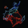 WAYFARING STRANGERS: COSMIC AMERICAN MUS