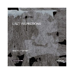 LISZT INSPECTION