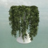 LEASE OF LIFE