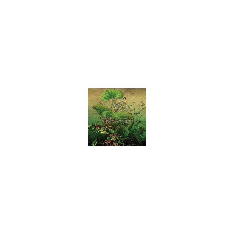 PHOTOSYNTHESIS