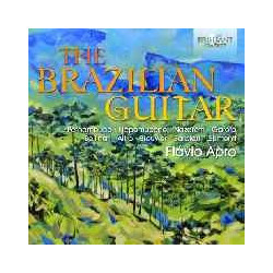 THE BRAZILIAN GUITAR -...