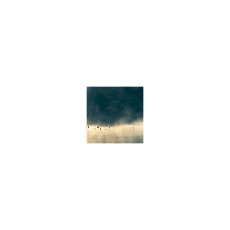 CONVIVIUM