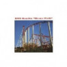 THEME PARK