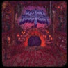 CAULDRON OF THE WILD
