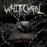 SOMATIC DEFILEMENT RE-ISSUE