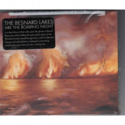 BESNARD LAKES ARE THE...