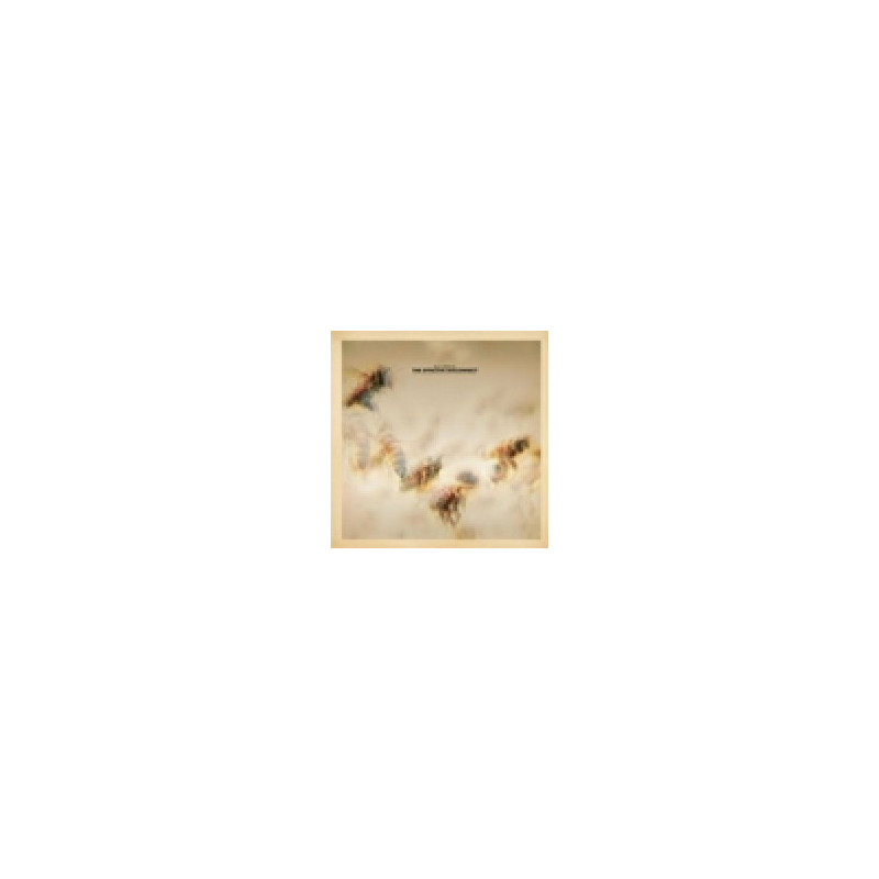 EFFECTIVE DISCONNECT (MUSIC COMPOSEDFOR