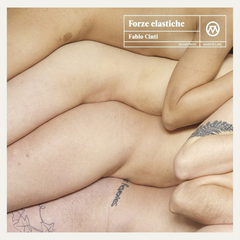 FORZE ELASTICHE