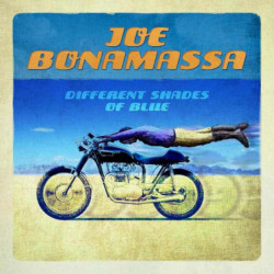 DIFFERENT SHADES OF BLUE-CD