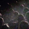 LIVE A LA GAITE' LYRIQUE - PARIS 2014
