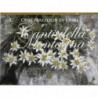 QUEL MAZZOLIN DI FIORI - CANTI DELLA MON