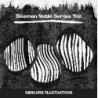 OBSCURE FLUCTUATIONS