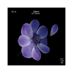 SEI SONATE, ZWV 181