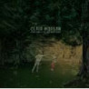 NEW LIONS AND NOT-GOOD NIGHT