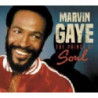 THE PRINCE OF SOUL