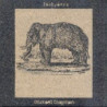 PACHYDERM