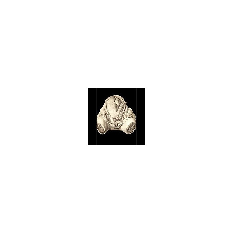 ORCUSTUS