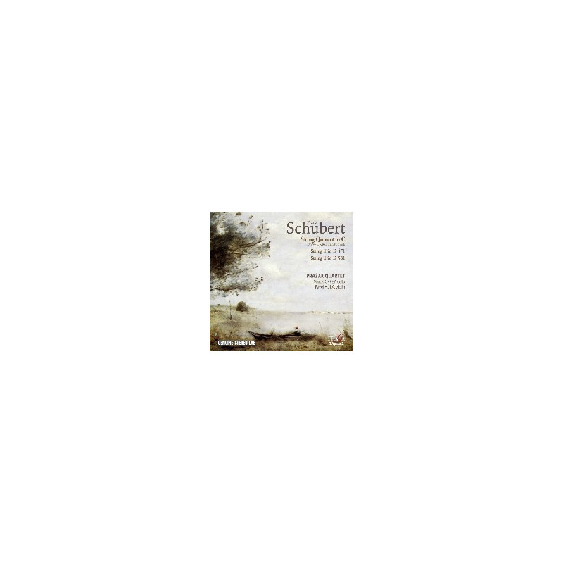 QUINTETTO OP.163 TRII PER ARCHI  D 471