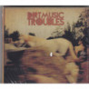 TROUBLES