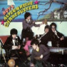 ALTERNATIVE CHARTBUSTERS (DELUXE EDITION