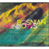 BOSNIAN RAINBOWS