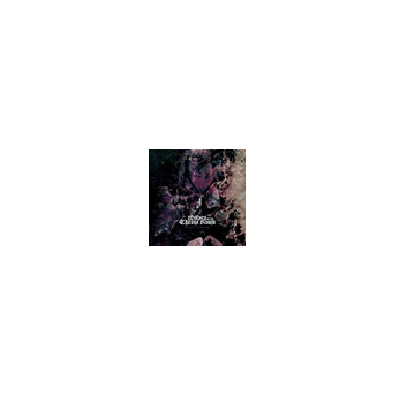 BBC SESSION 2011 ANNO DOMINI