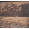PAUPERS FIELD