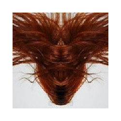 A COLLECTION OF HAIR