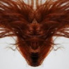 A COLLECTION OF HAIR