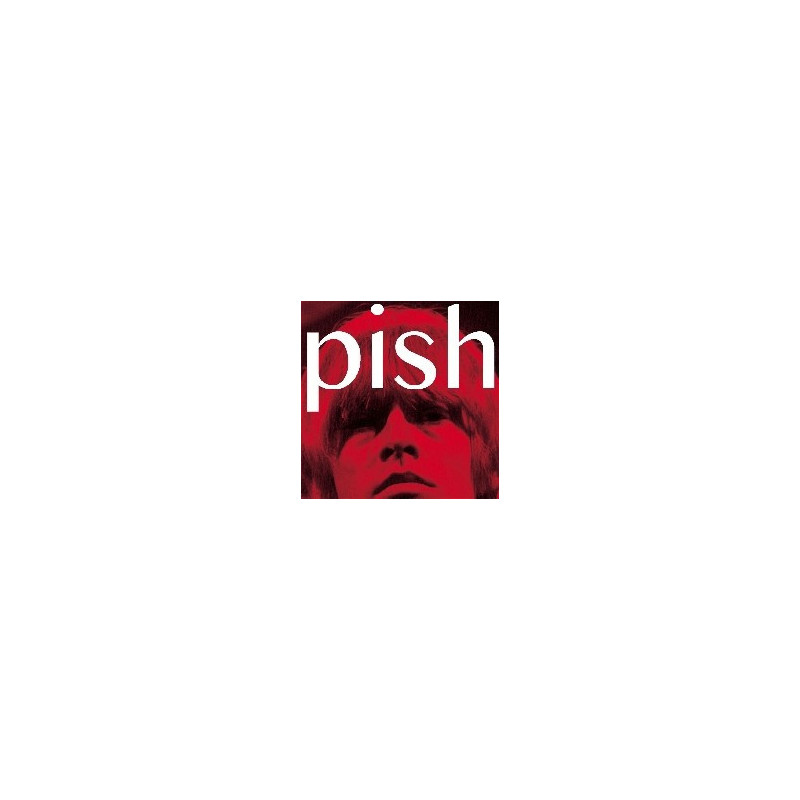 MINI ALBUM THINGY WINGY