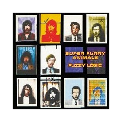FUZZY LOGIC (20TH ANNIVERSARY