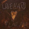 LOVE HARD
