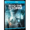 INTO THE STORM (BS)