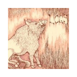 HOGZ