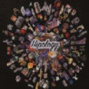 HIPOLOGY
