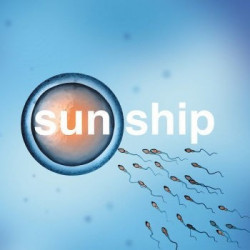 SUN SHIP