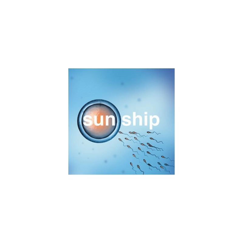 SUN SHIP