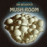 MUSH-ROOM