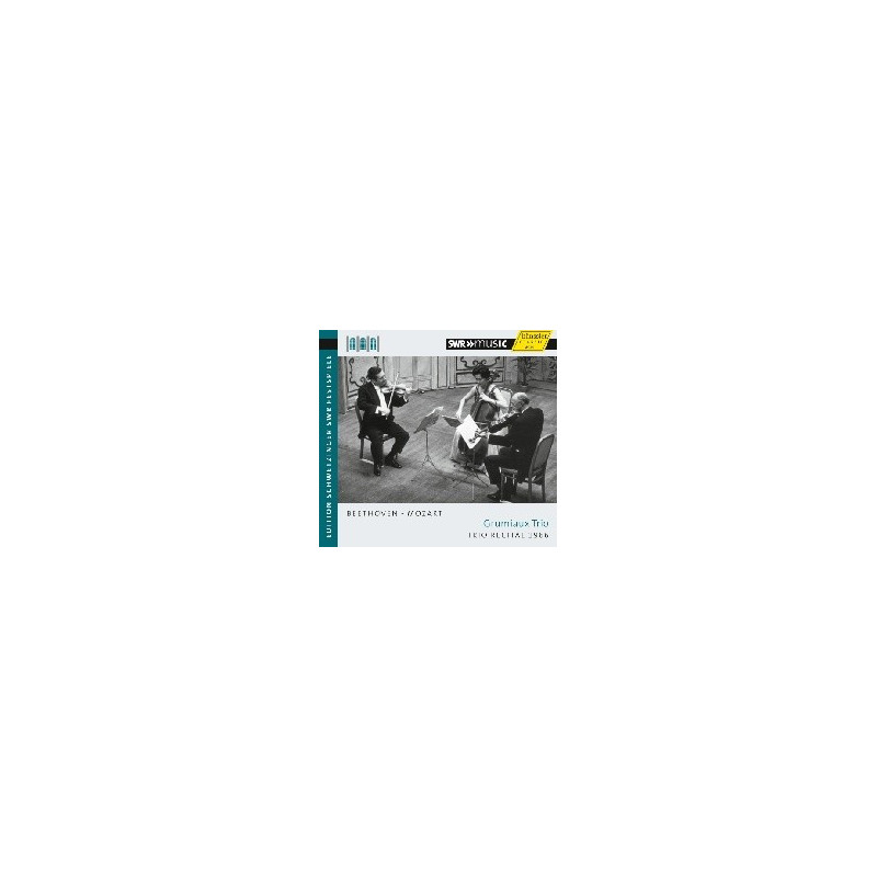 DIVERTIMENTO K 563, DUO PER VIOLINO E VI