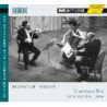DIVERTIMENTO K 563, DUO PER VIOLINO E VI
