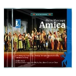 AMICA