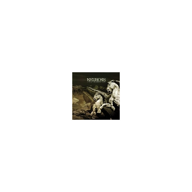 LIVE AT ROADBURN 2007