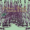 FOUNTAIN OF YOUTH