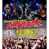 PORNOGRAFFITTI LIVE 25 / METAL