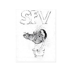 SFV ACID 2