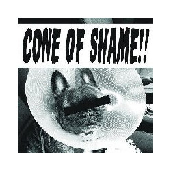 CONE OF SHAME CLEAR