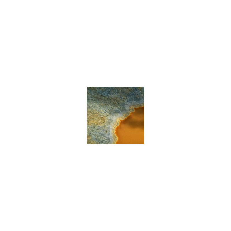 EMPTY/EVERY MT